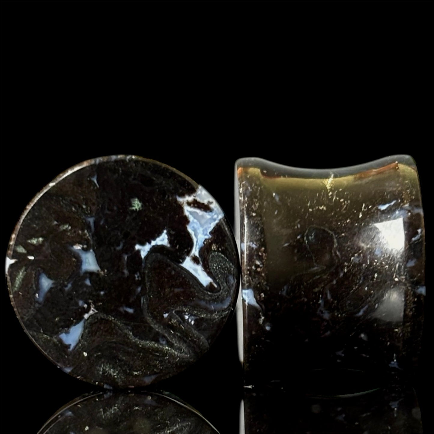 5/8” / 16mm Petrified Palm Root