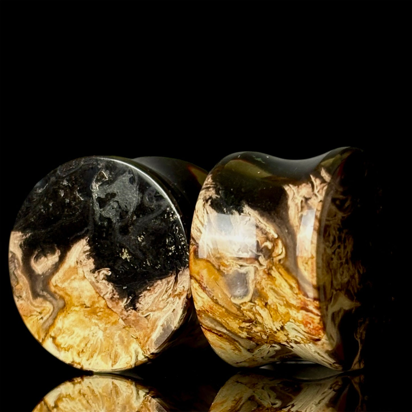 3/4" (19mm) Petrified Palm Root