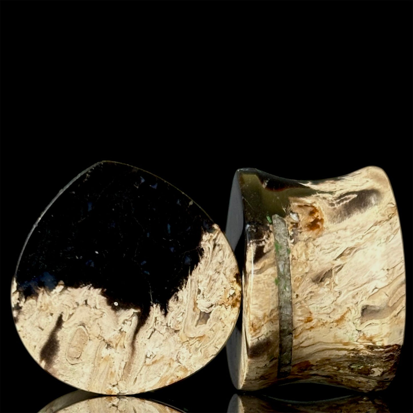 3/4" / 19mm Petrified Palm Root