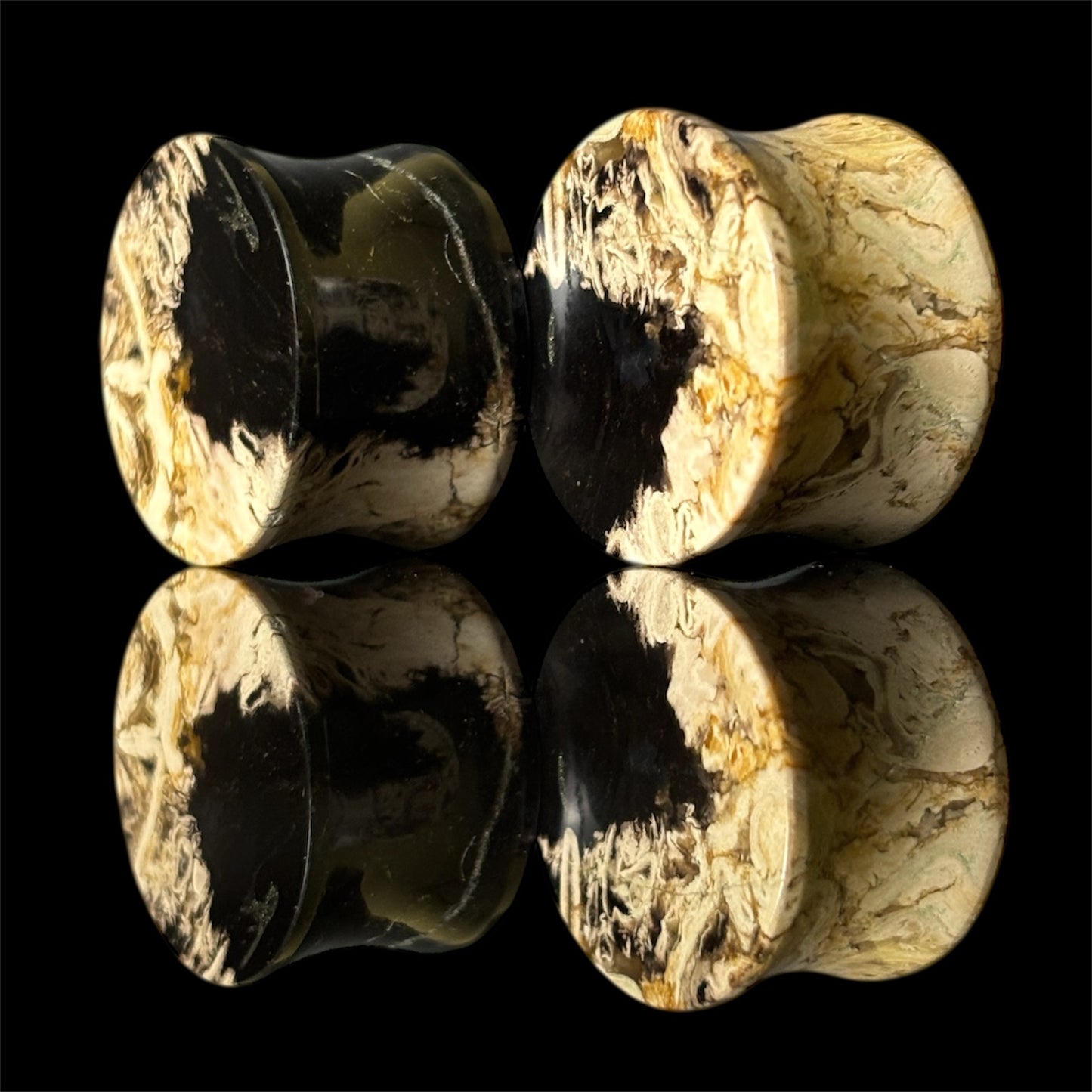 3/4” / 19mm Petrified Palm root