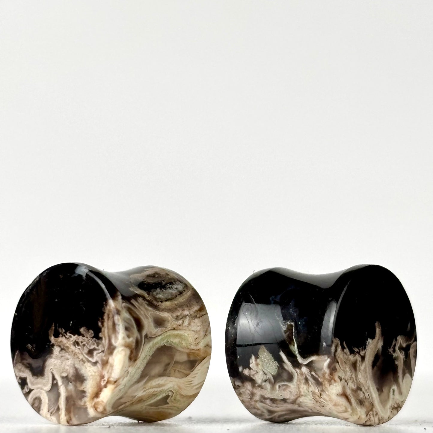 1/2" Petrified Palm Root