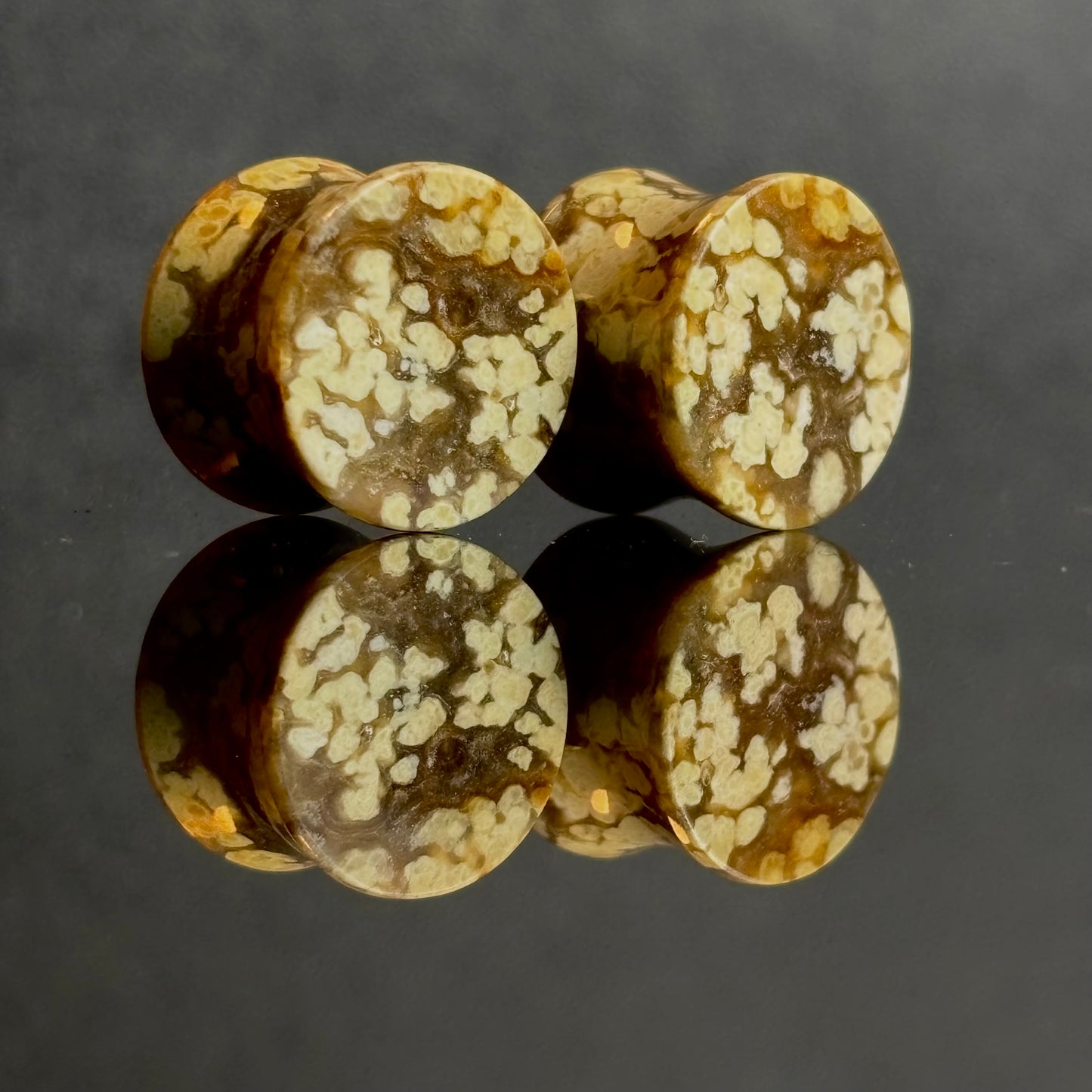 1/2 / 12mm Agatized Palm Wood