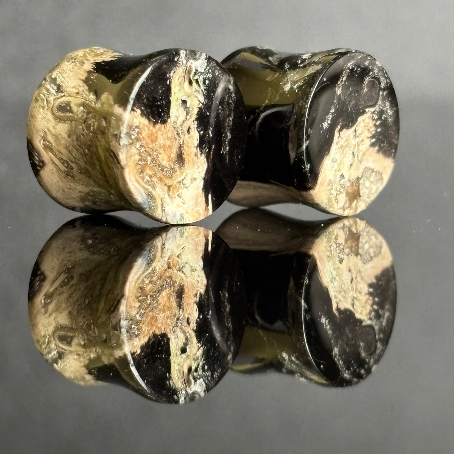 1/2"/ 12.5mm Petrified Palm Root