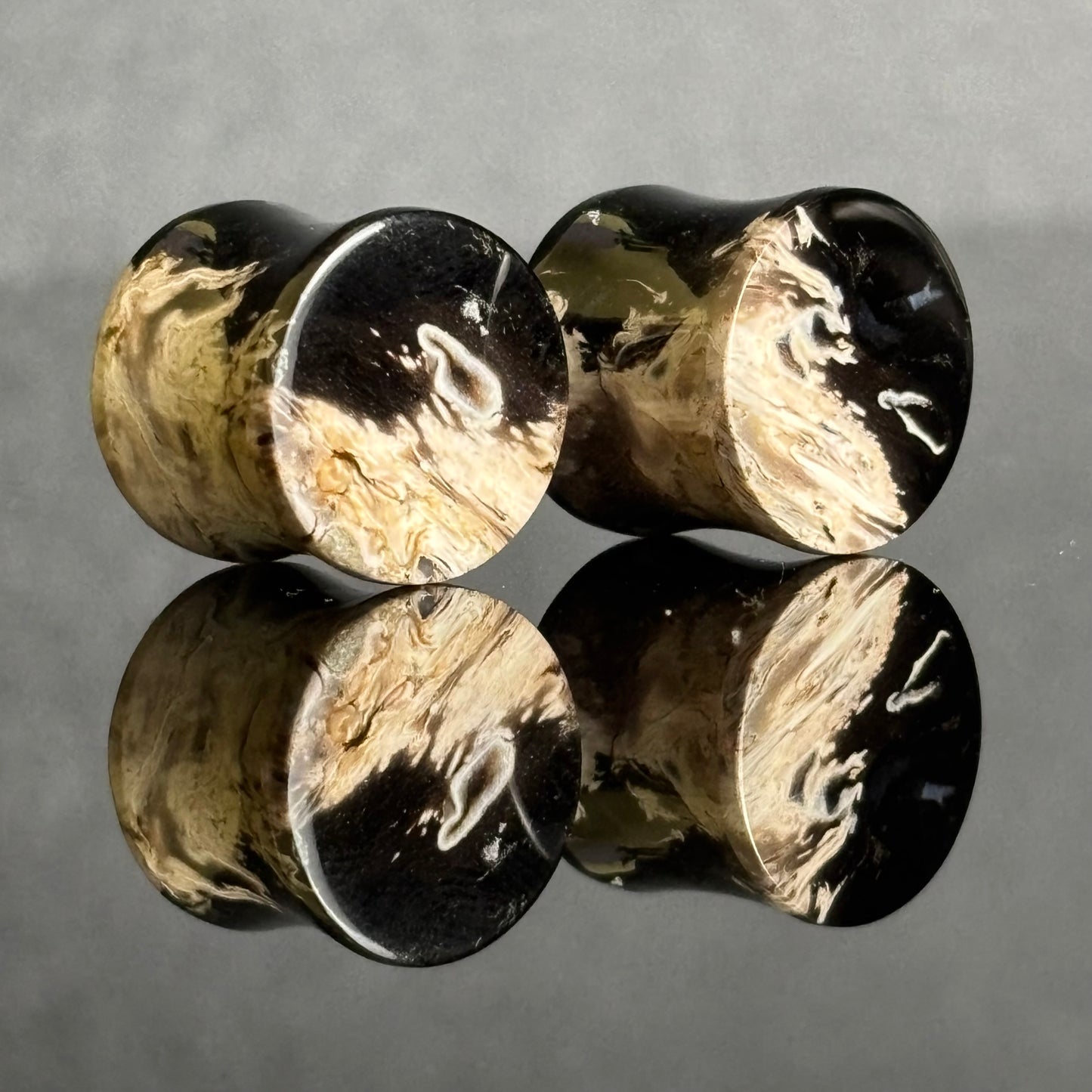 1/2" / 12.5mm Petrified Palm Root