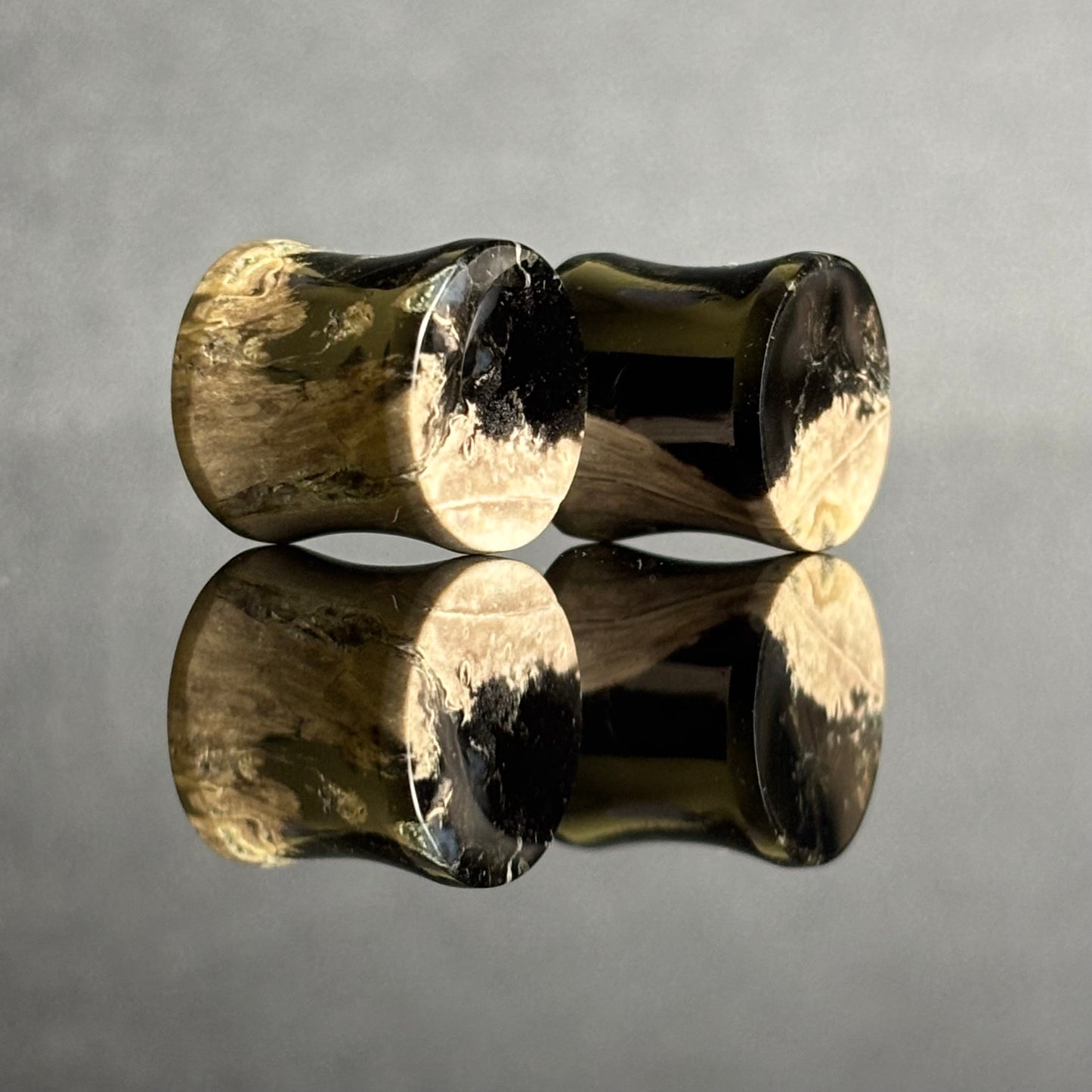 7/ 16" / 11mm Petrified Palm Root