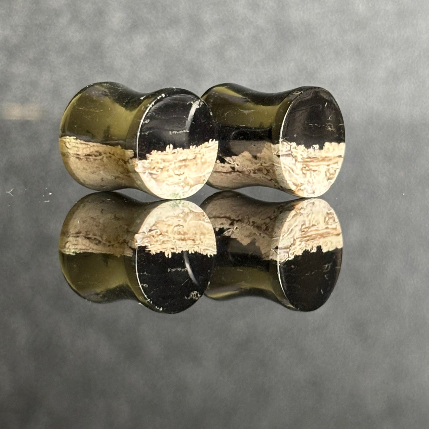 00g 9.5mm Petrified Palm Roort