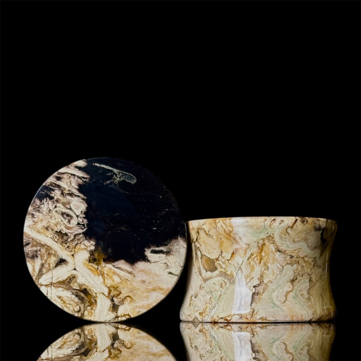 3/4” / 19mm Petrified Palm root