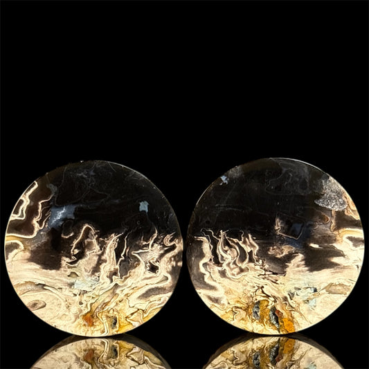 1 1/2” / 38mm Petrified Palm root