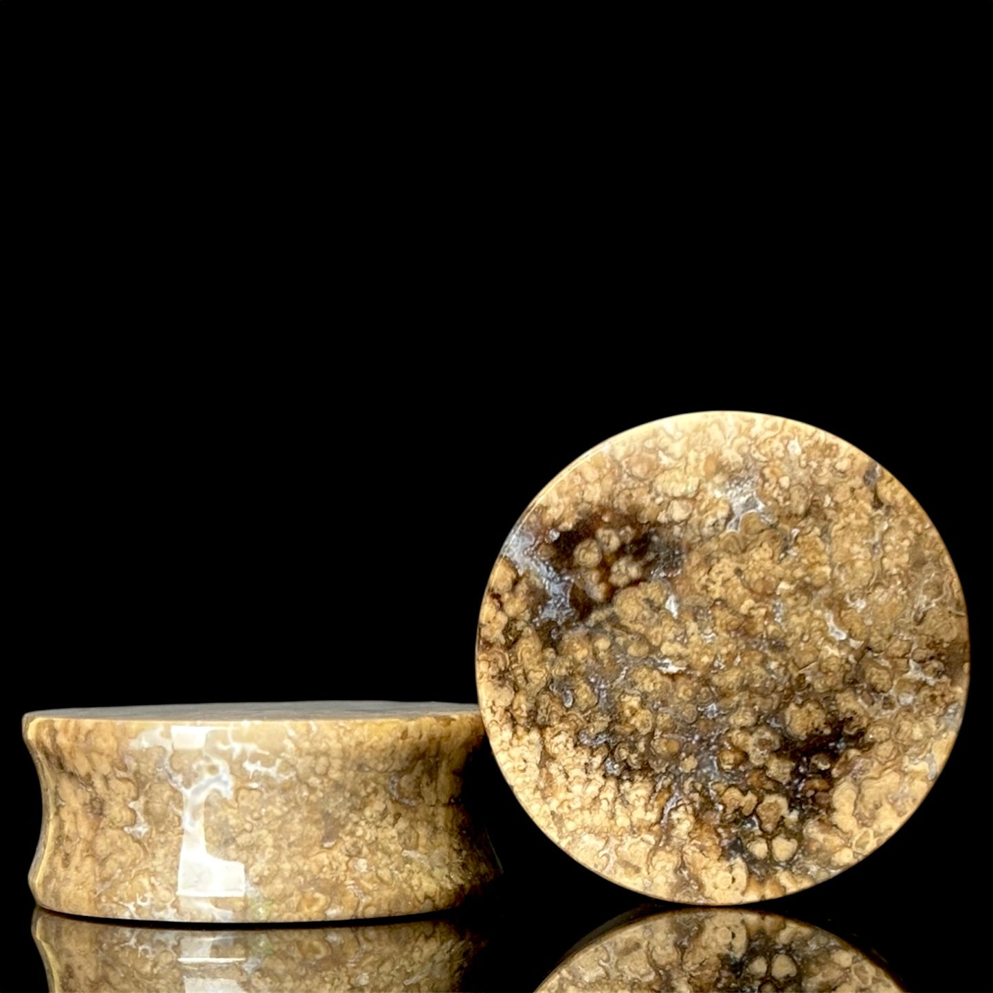 1 1/8" / 28mm Agatized Palm Wood