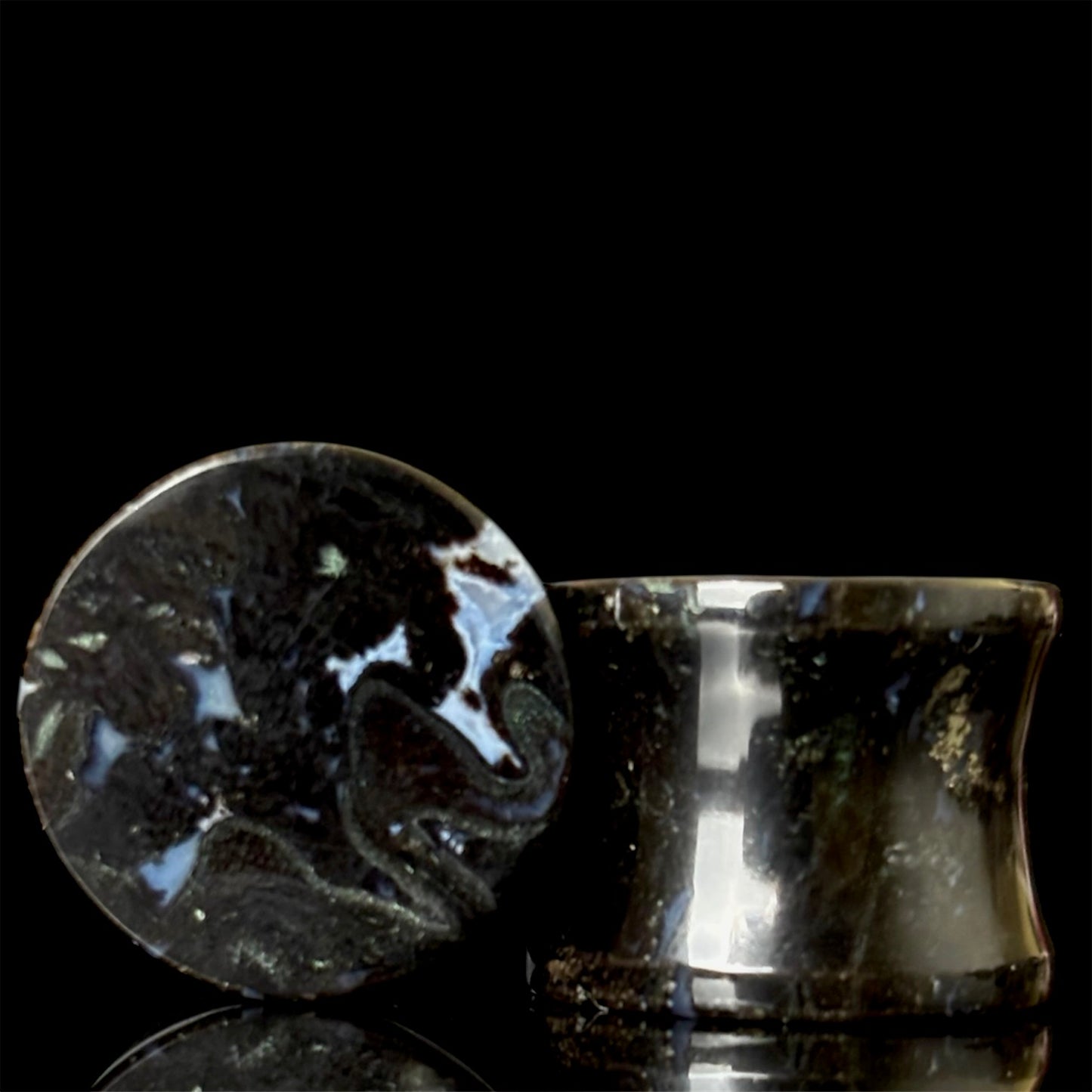 5/8” / 16mm Petrified Palm Root
