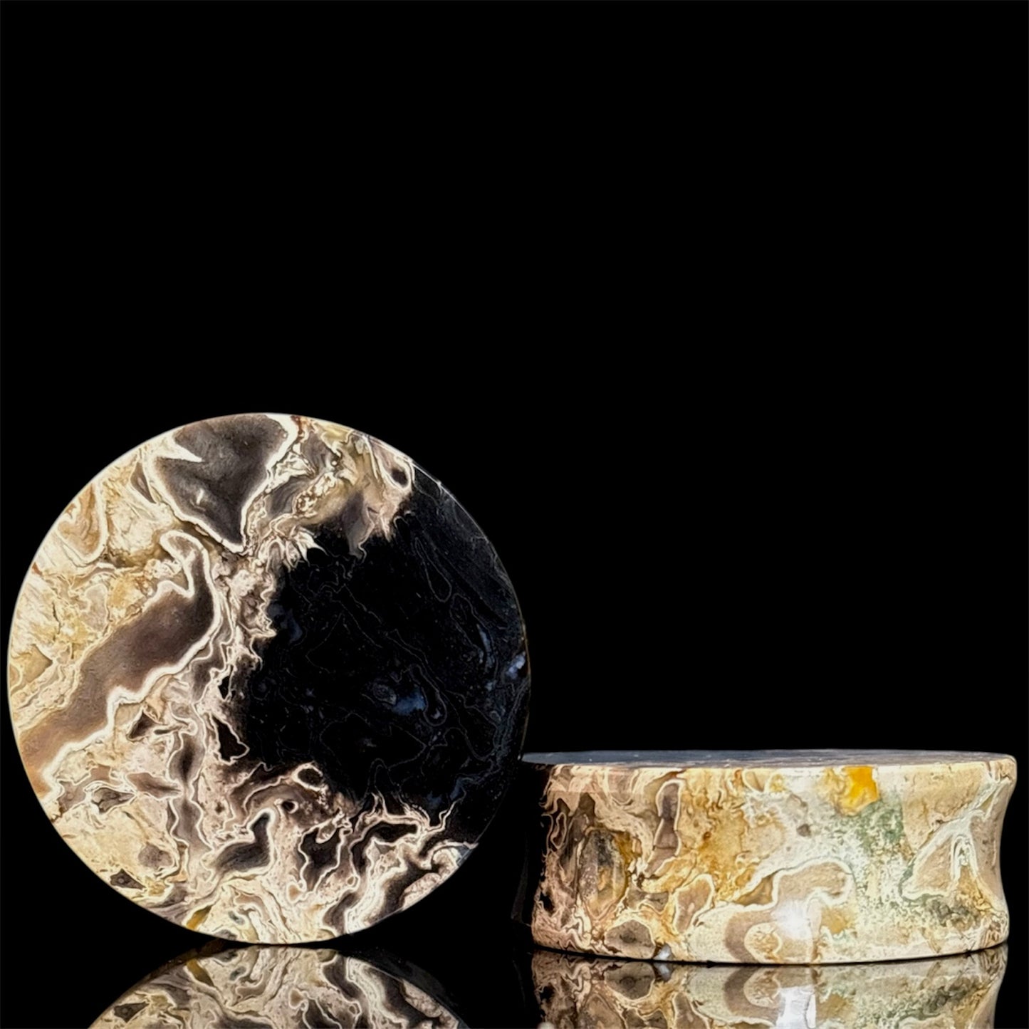 1 1/2” / 38mm Petrified Palm root