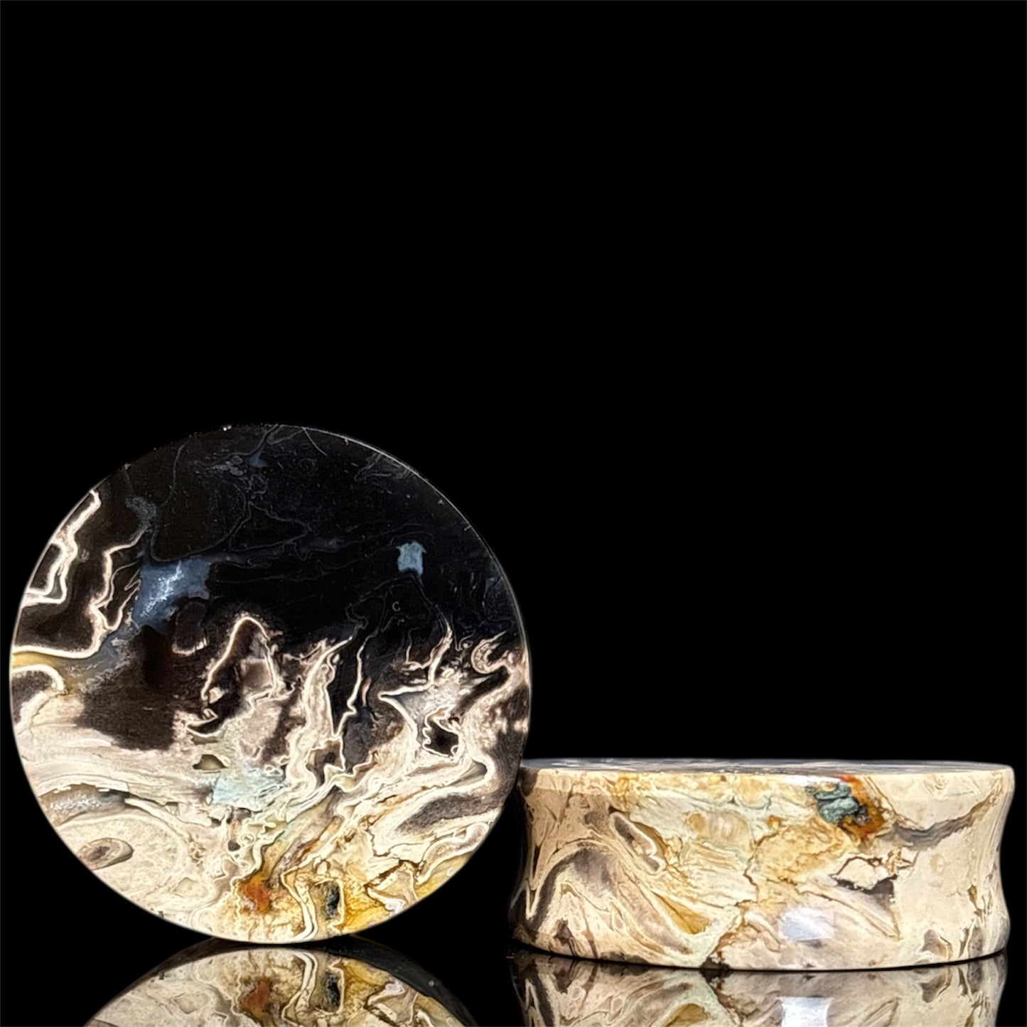 1 1/2” / 38mm Petrified Palm root