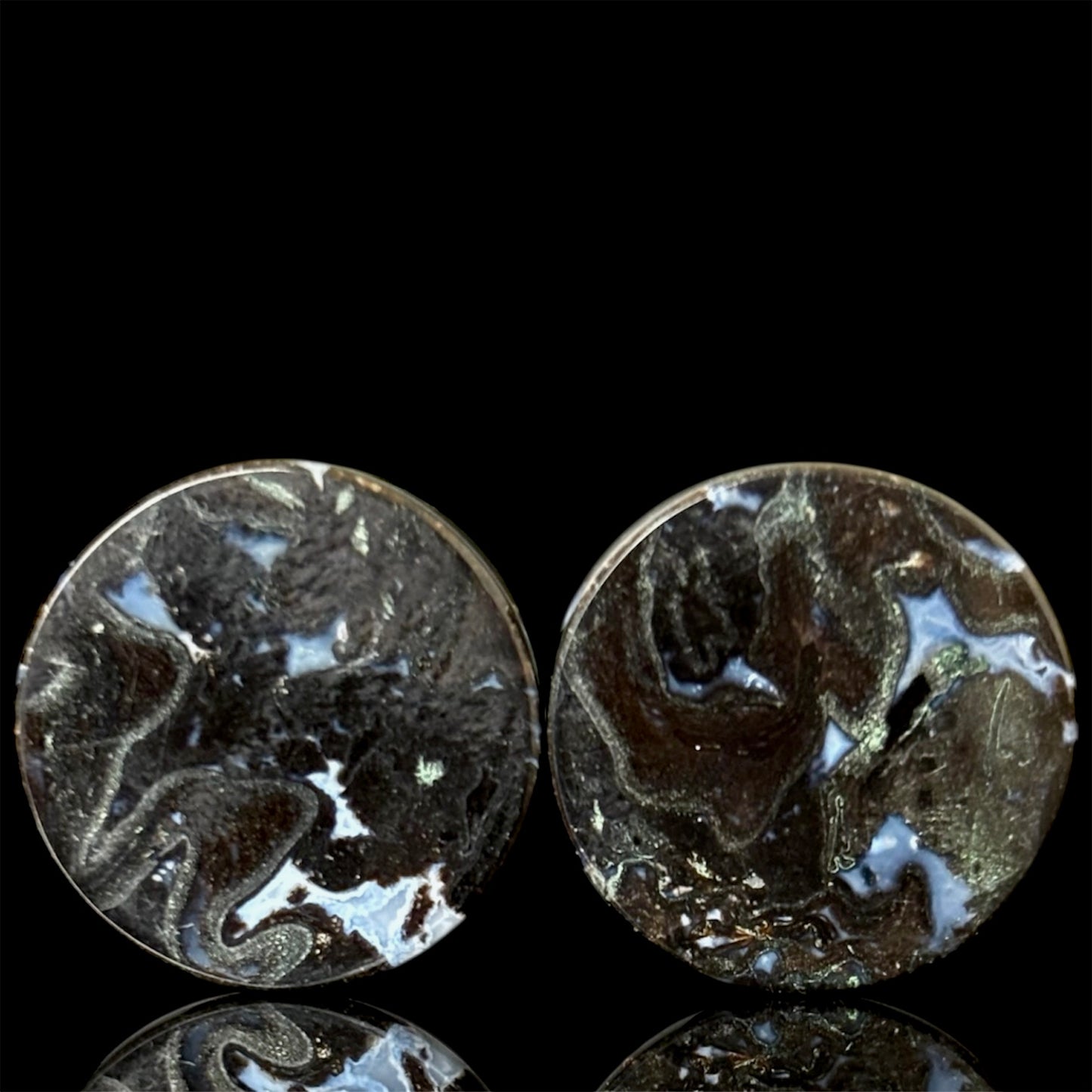 5/8” / 16mm Petrified Palm Root