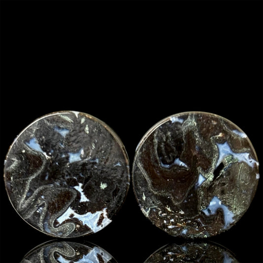 5/8” / 16mm Petrified Palm Root