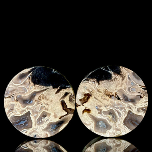 Palm root 1.10" (28mm)
