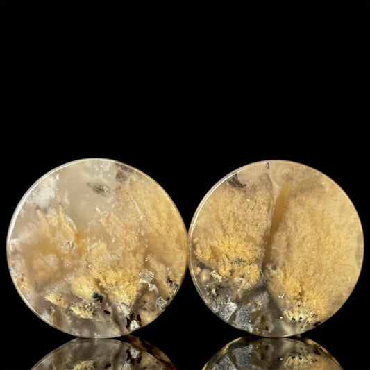 7/8” / 22mm Dendritic Tiger