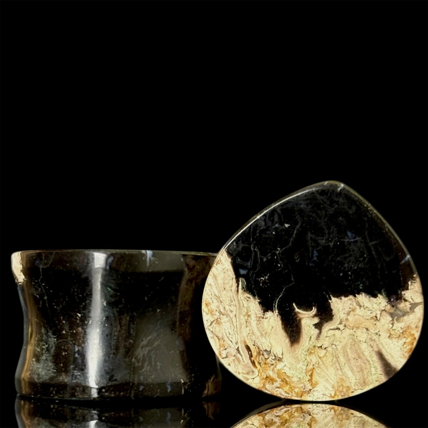 3/4" / 19mm Petrified Palm Root