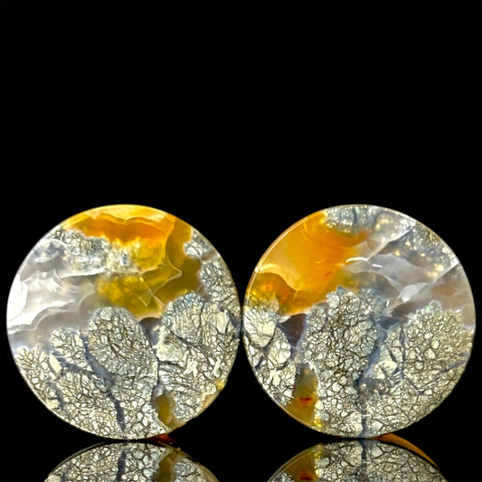 3/4” / 19mm Marcasite In Brown Agate