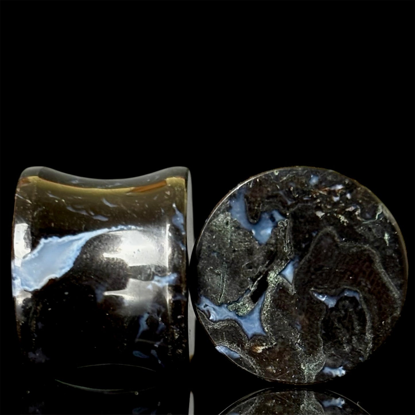 5/8” / 16mm Petrified Palm Root