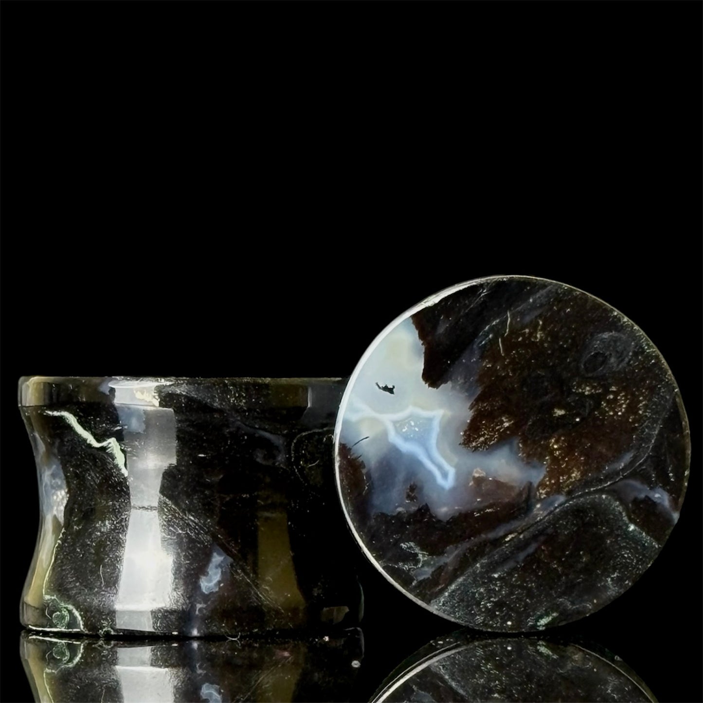 5/8” / 16mm Petrified Palm Root