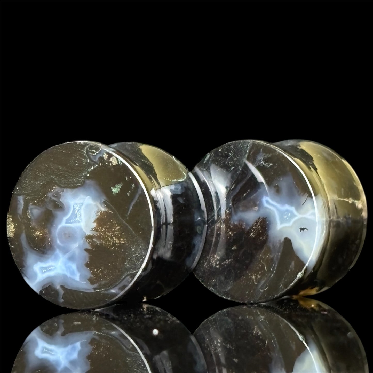 5/8” / 16mm Petrified Palm Root