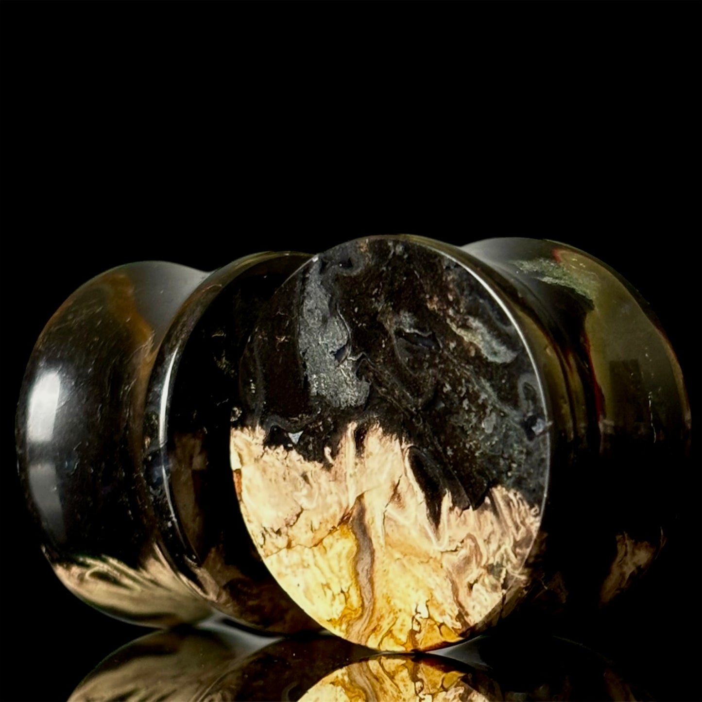 3/4" (19mm) Petrified Palm Root