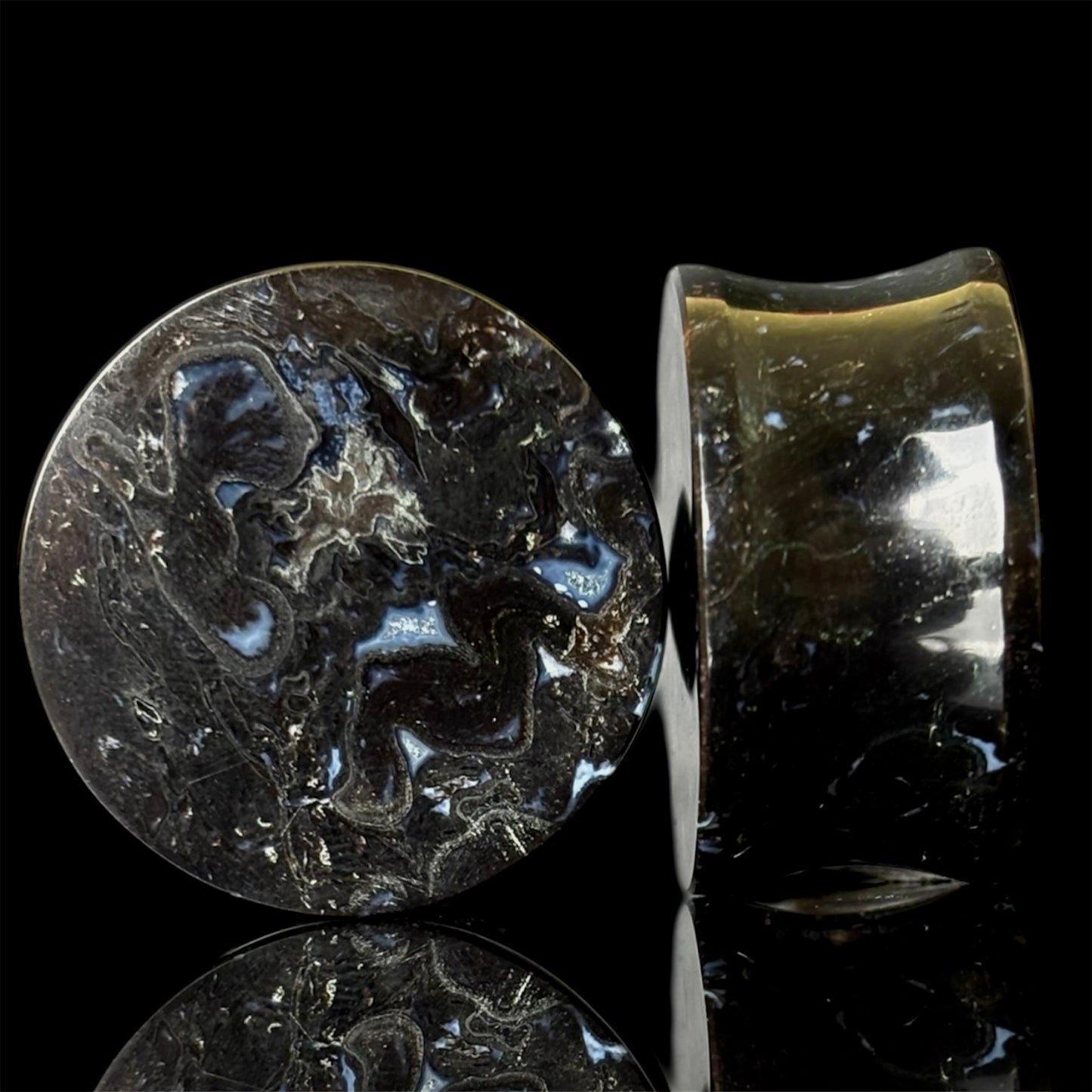 1” / 25mm Petrified Palm Root