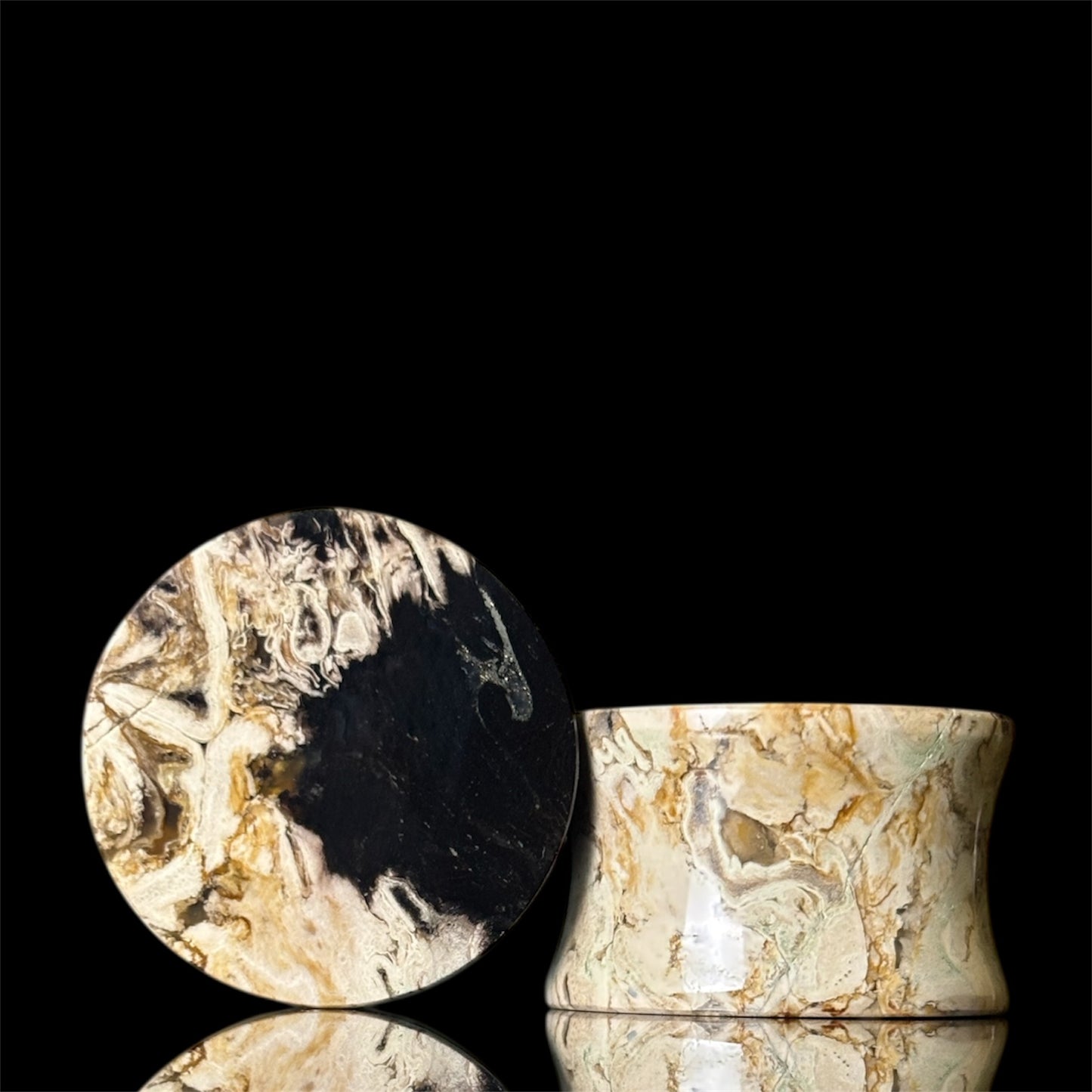 3/4” / 19mm Petrified Palm root