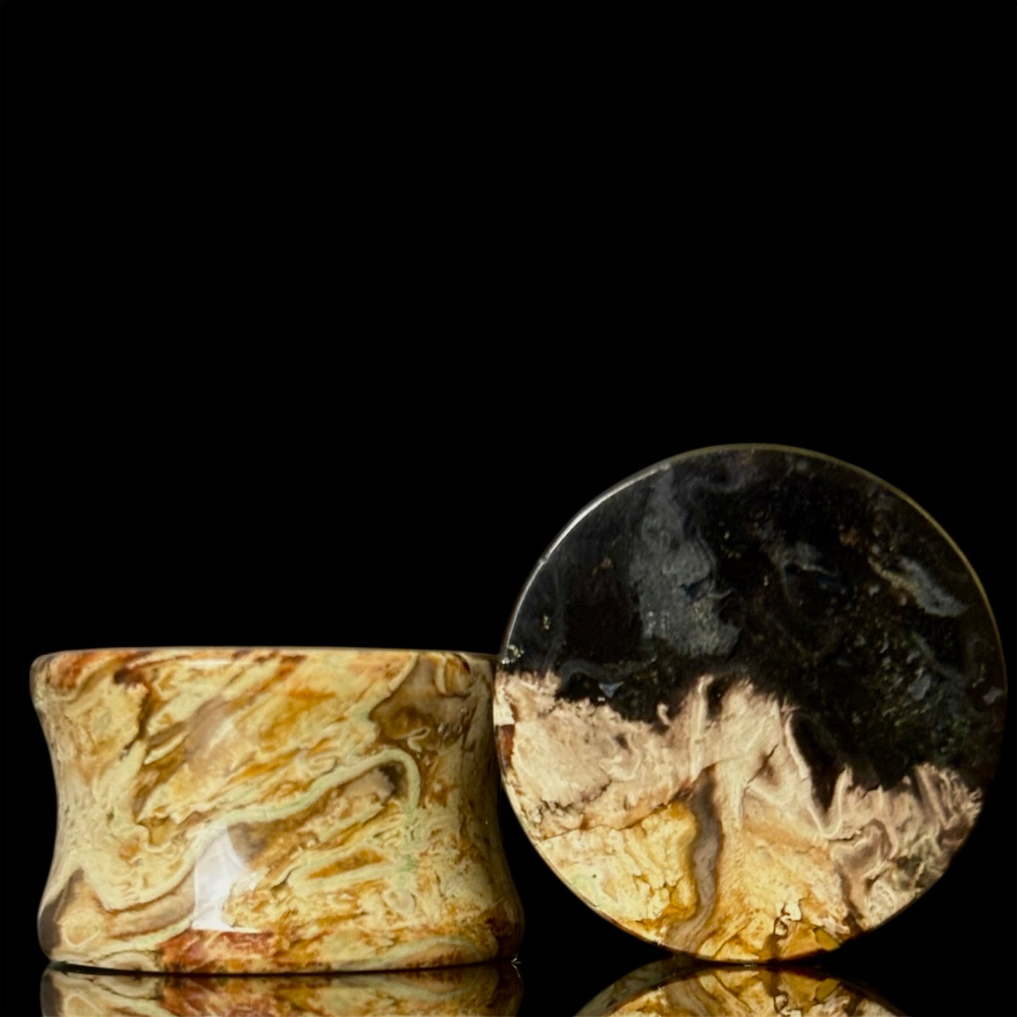 3/4" (19mm) Petrified Palm Root