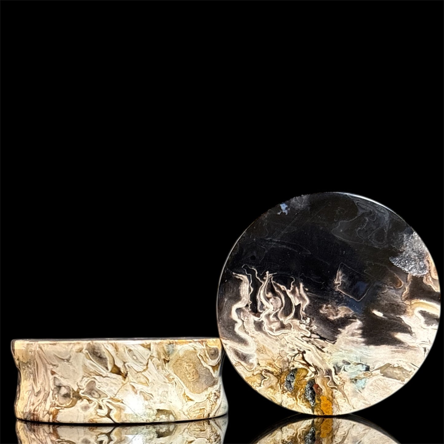 1 1/2” / 38mm Petrified Palm root
