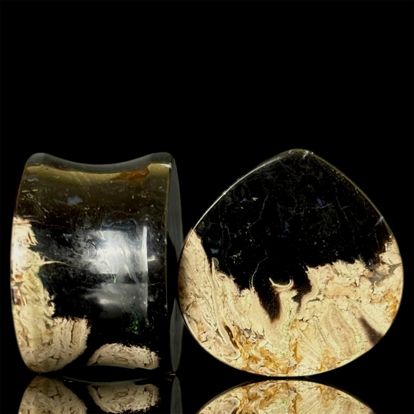 3/4" / 19mm Petrified Palm Root