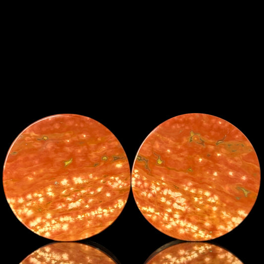 1 1/4” / 32mm Red Orbicular Japser