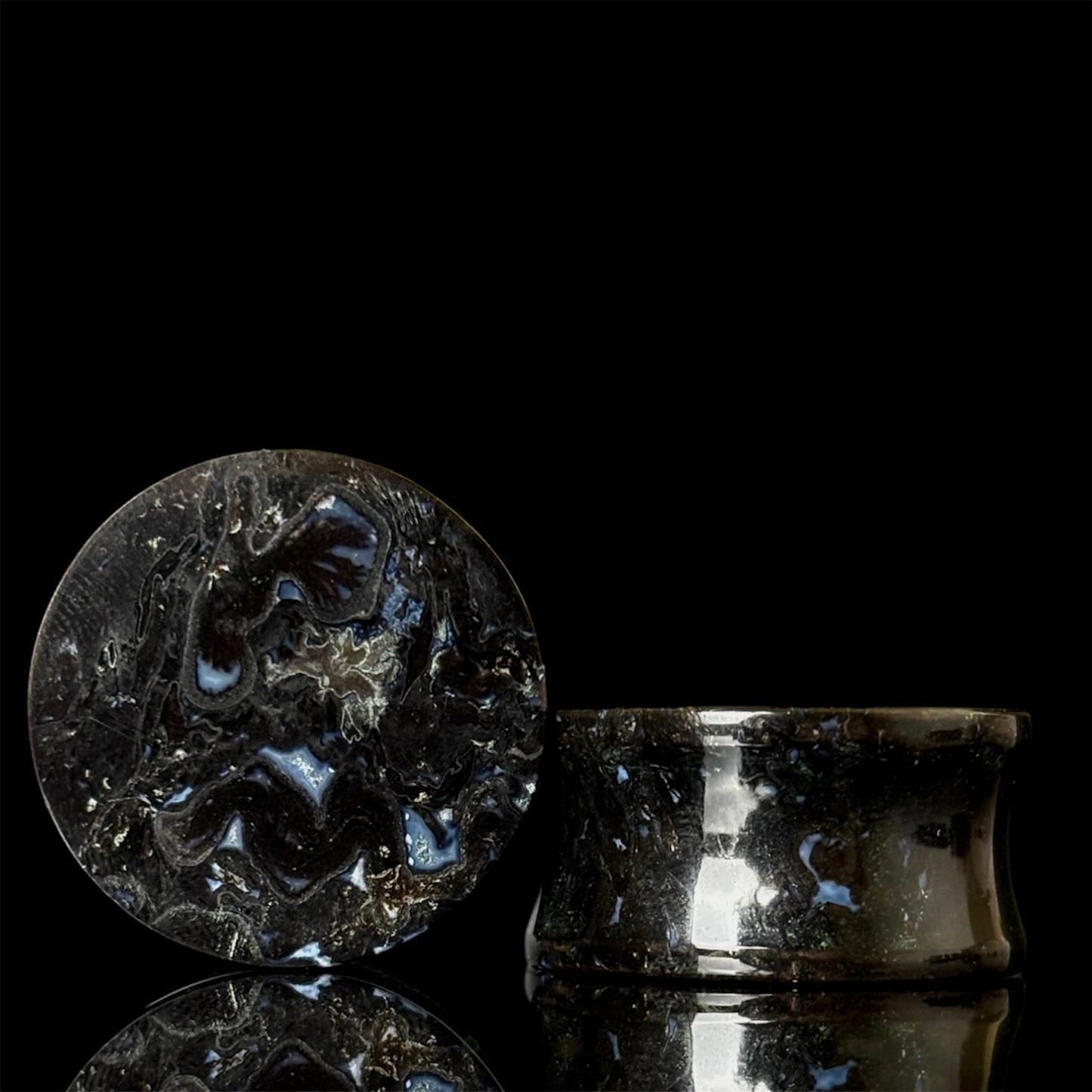 1” / 25mm Petrified Palm Root
