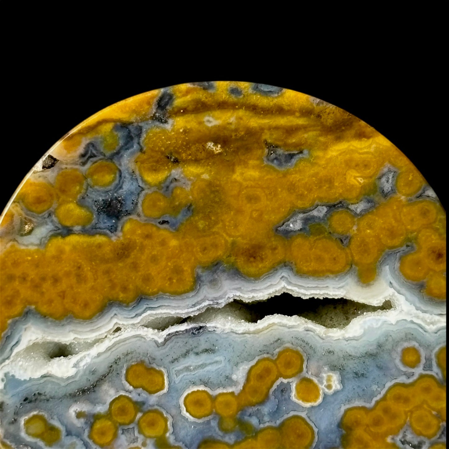 1” / 25mm Orbicular Jasper