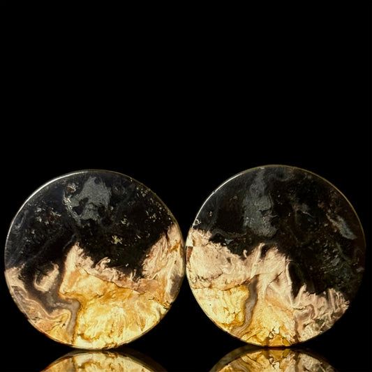3/4" (19mm) Petrified Palm Root