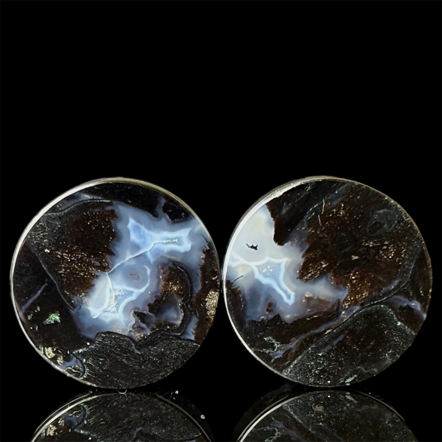 5/8” / 16mm Petrified Palm Root