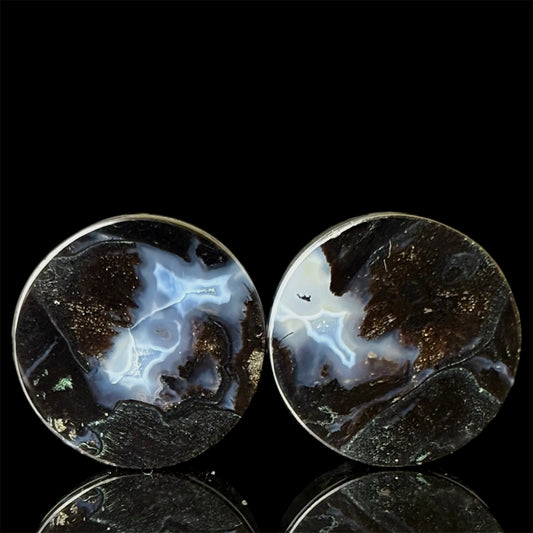 5/8” / 16mm Petrified Palm Root