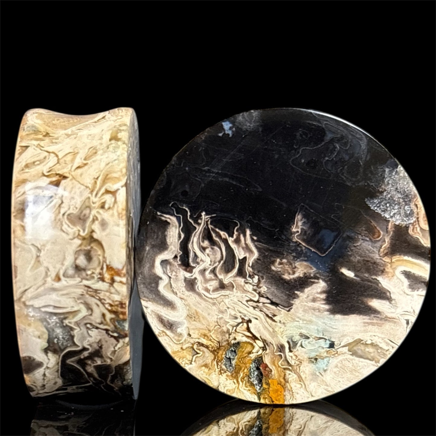 1 1/2” / 38mm Petrified Palm root