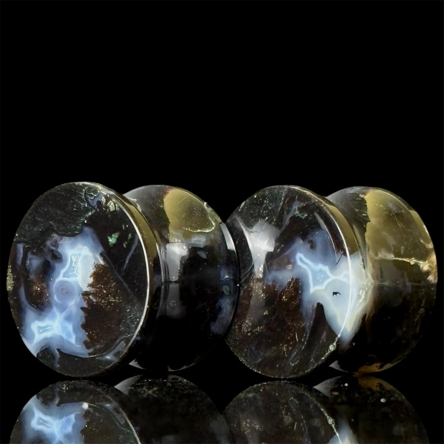 5/8” / 16mm Petrified Palm Root
