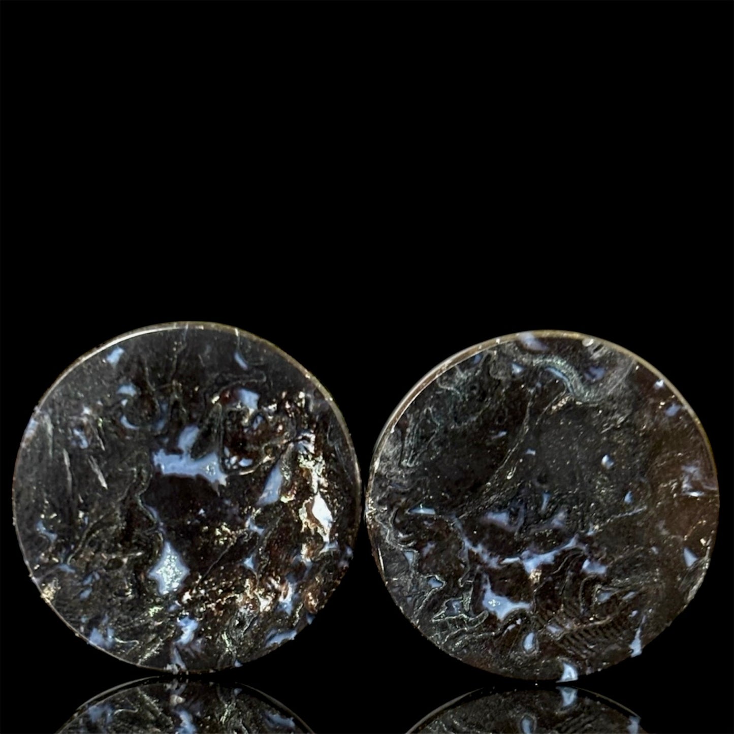 5/8” / 16mm Petrified Palm Root