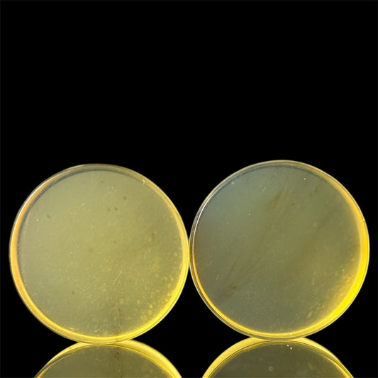 1” / 25mm Sumatra Amber
