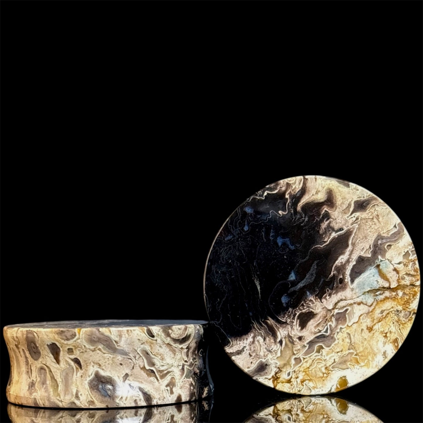 1 1/2” / 38mm Petrified Palm root