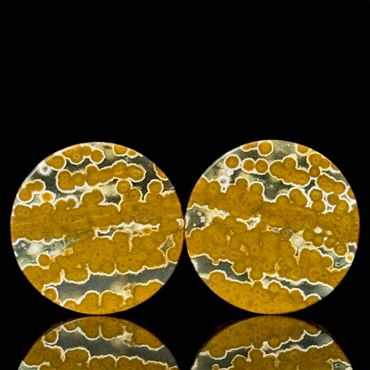 7/8” / 22mm Orbicular Jasper