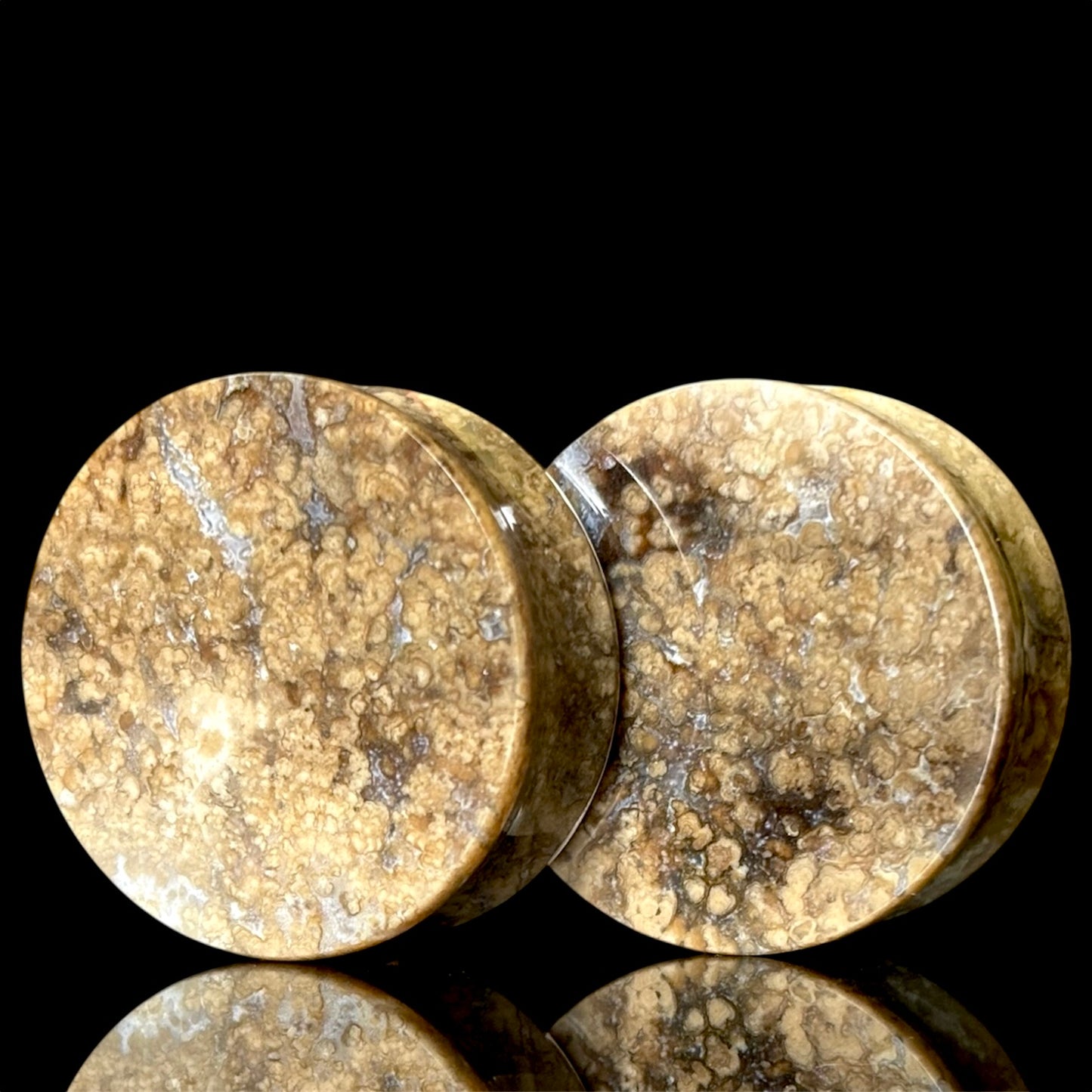 1 1/8" / 28mm Agatized Palm Wood
