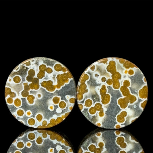 5/8” / 16mm Orbicular Jasper