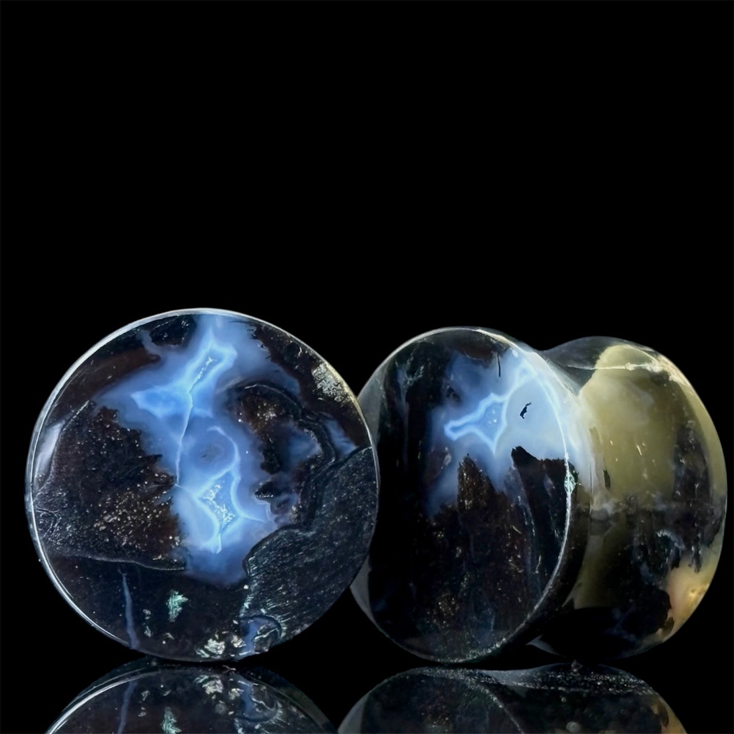 5/8” / 16mm Petrified Palm Root
