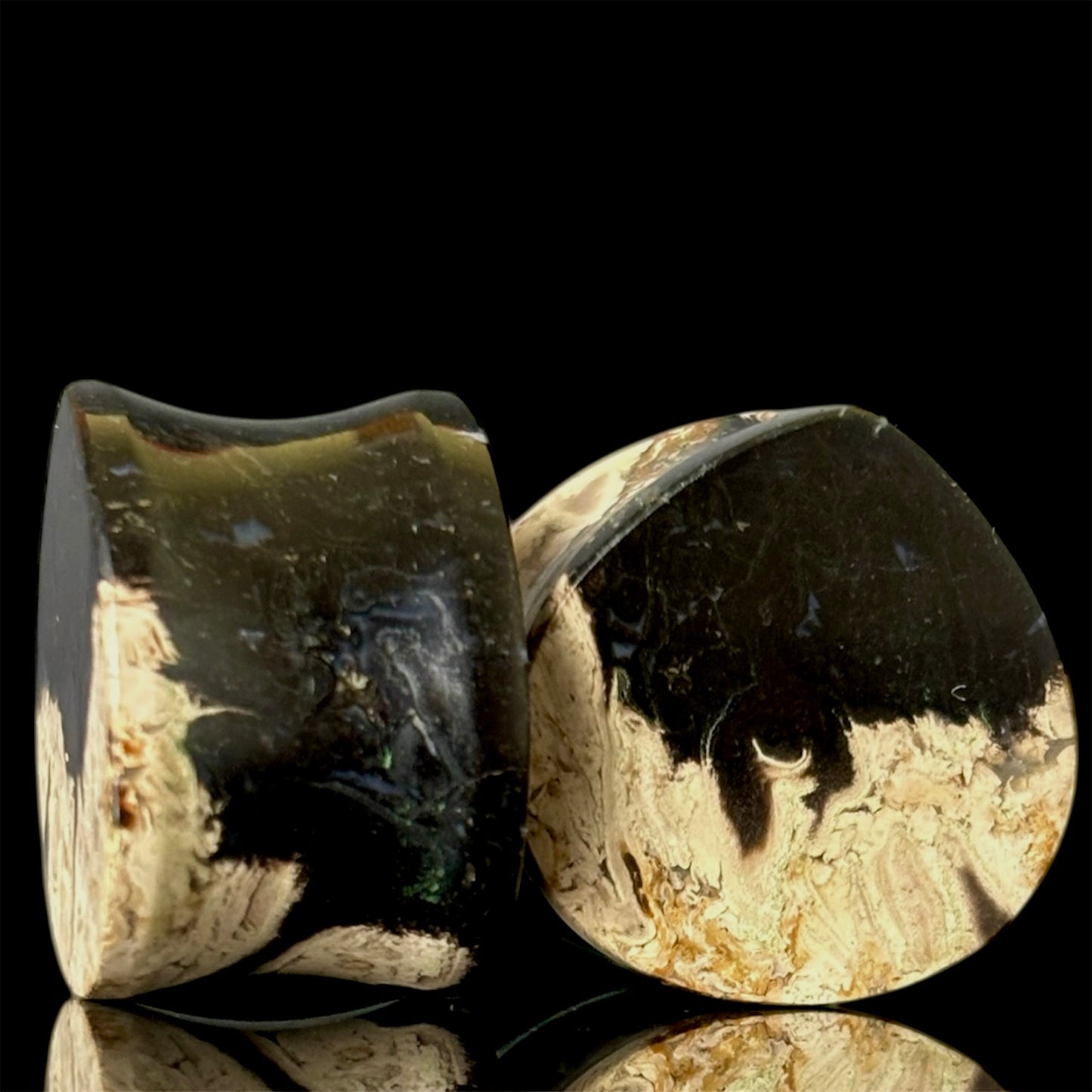 3/4" / 19mm Petrified Palm Root