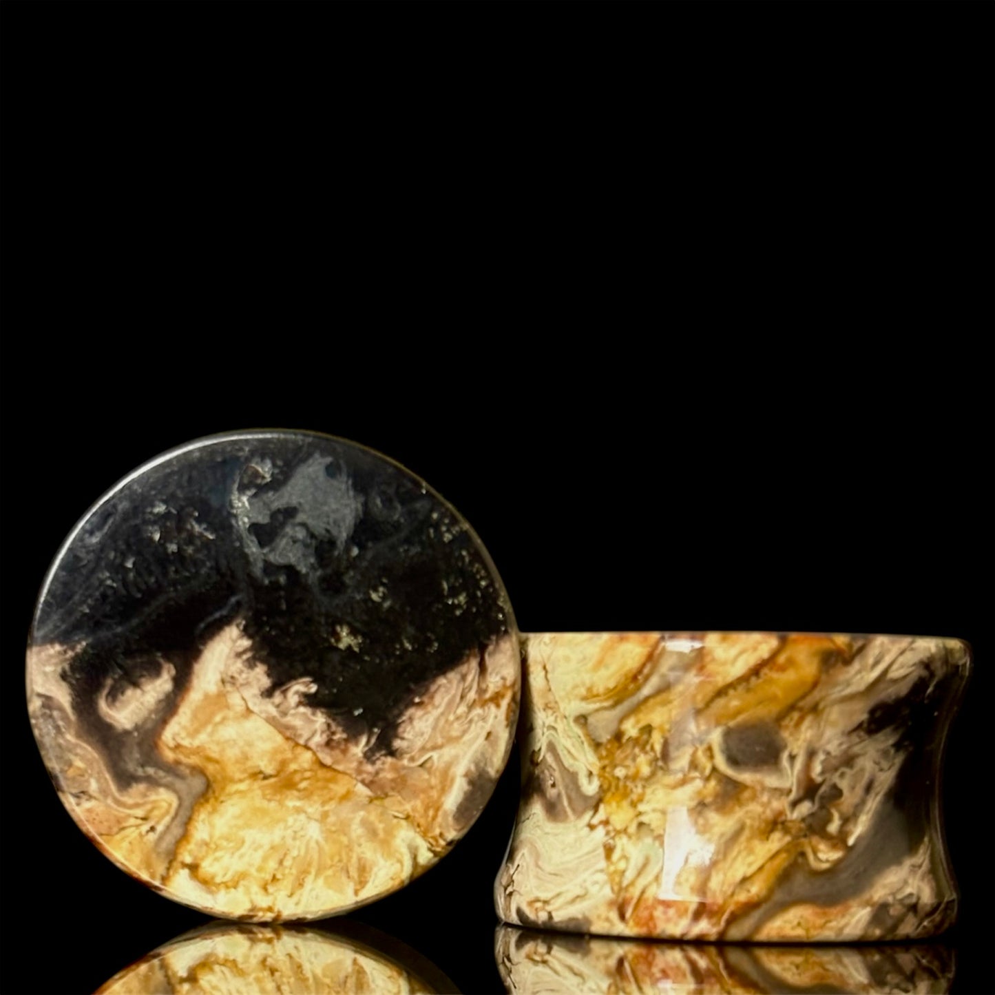 3/4" (19mm) Petrified Palm Root