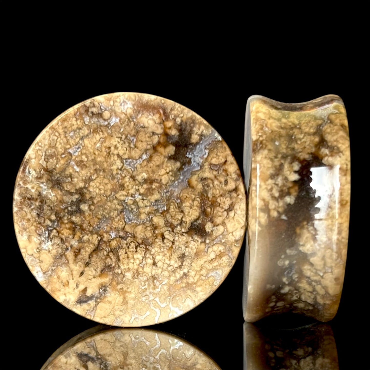 1 1/8" / 28mm Agatized Palm Wood