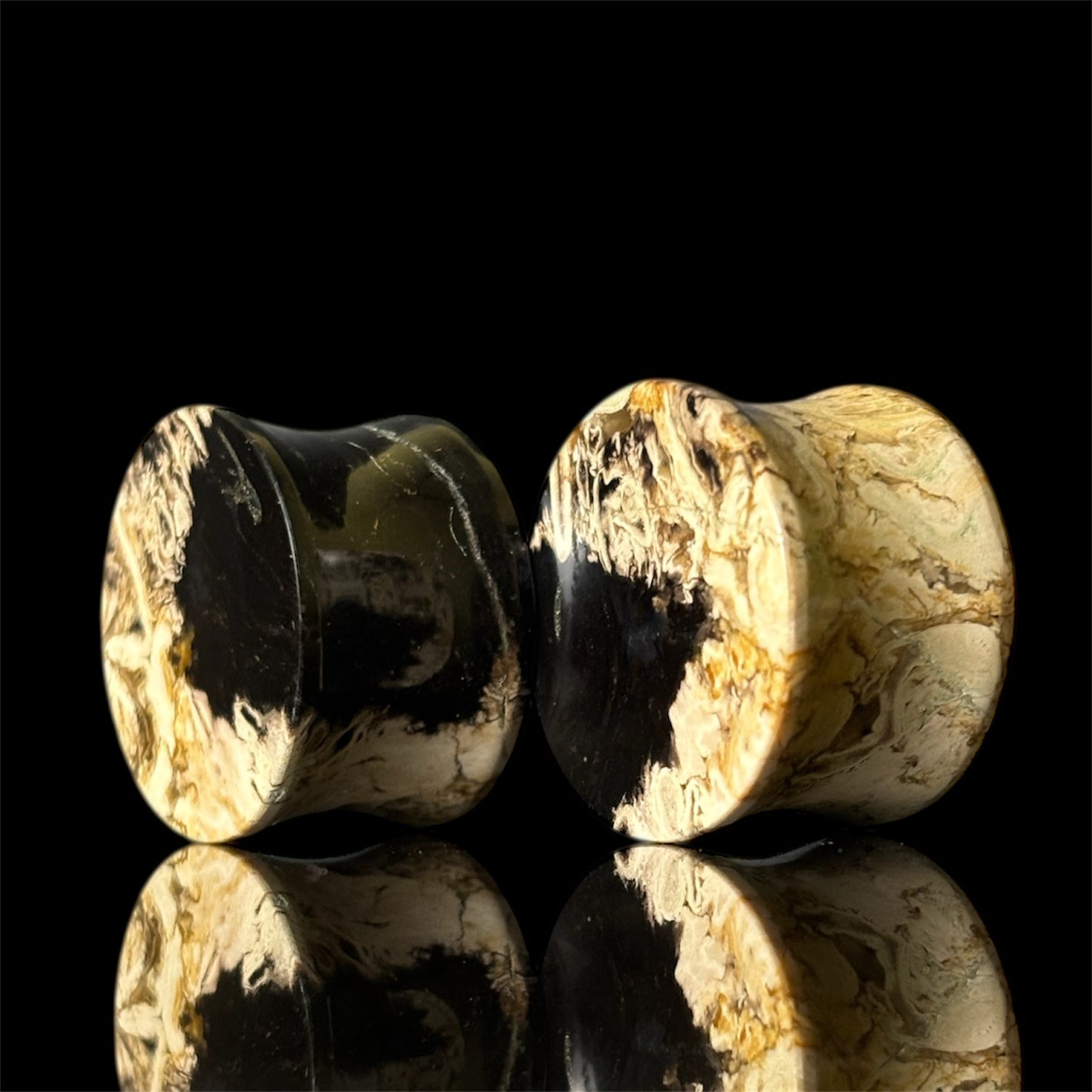 3/4” / 19mm Petrified Palm root